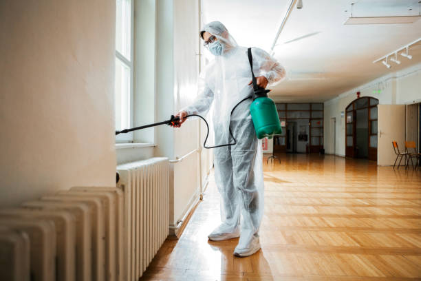 Reliable Somerset, MD Pest control Solutions